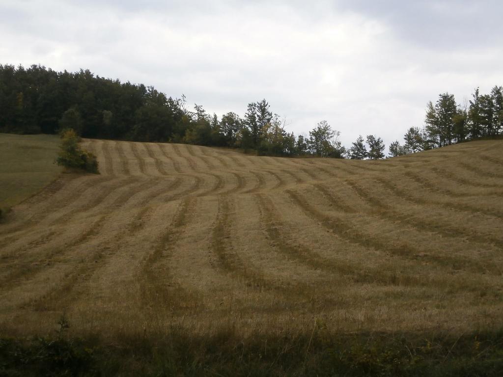 Societa Agricola Cacigolara Villa Borgo Val di Taro Kültér fotó