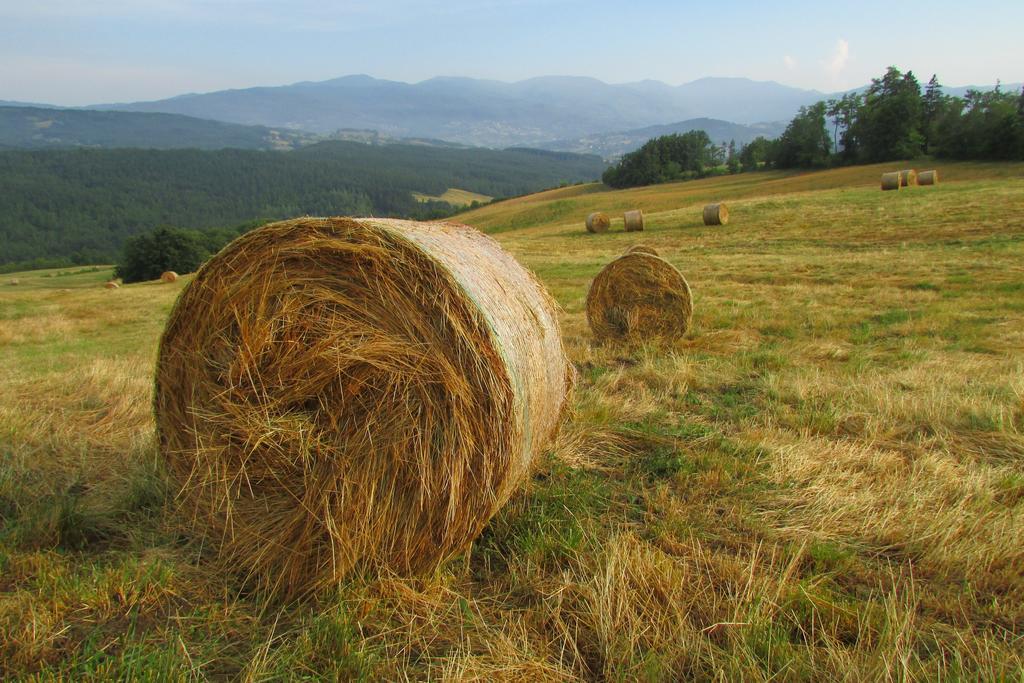Societa Agricola Cacigolara Villa Borgo Val di Taro Kültér fotó
