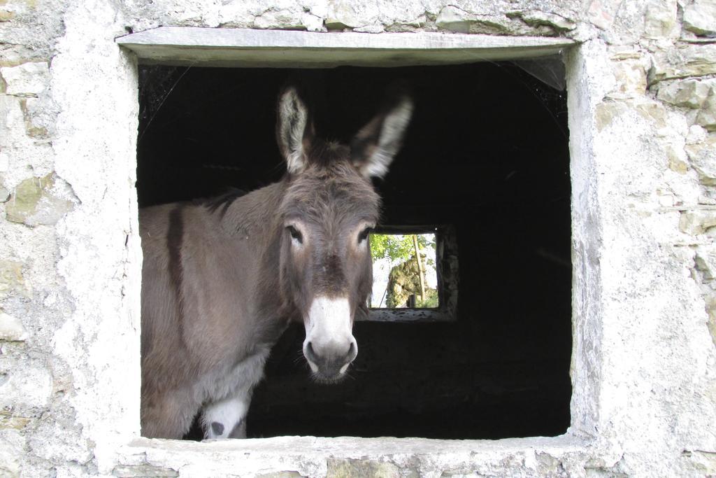Societa Agricola Cacigolara Villa Borgo Val di Taro Kültér fotó
