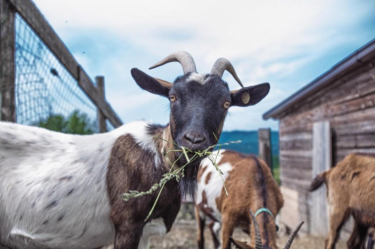 Societa Agricola Cacigolara Villa Borgo Val di Taro Kültér fotó